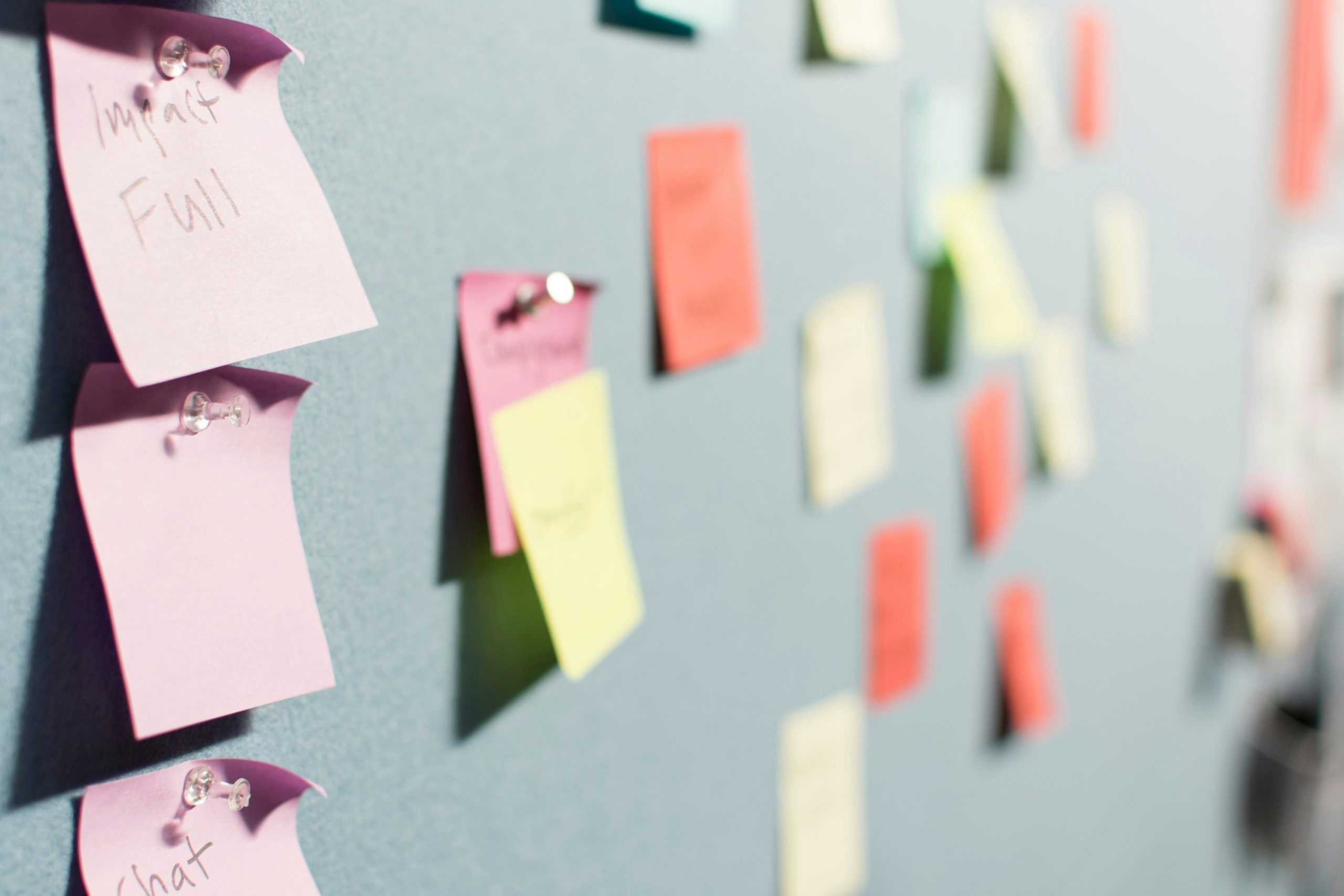 A planning wall with lots of post it notes to organise key actions